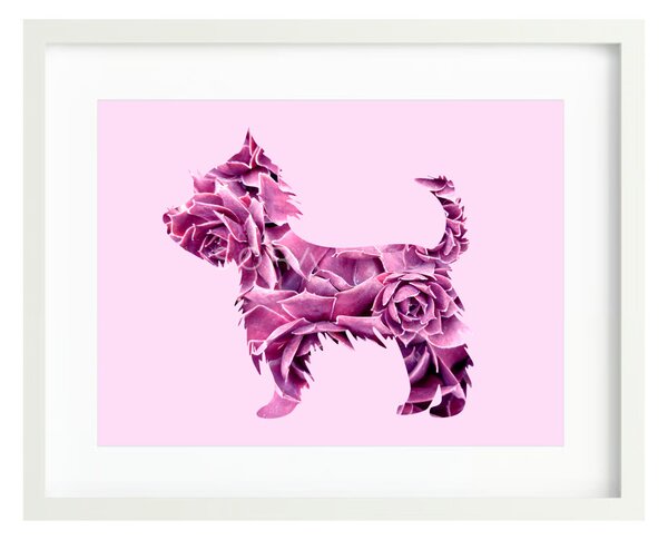 Yorkshire terrier fotógrafika nyomat falikép