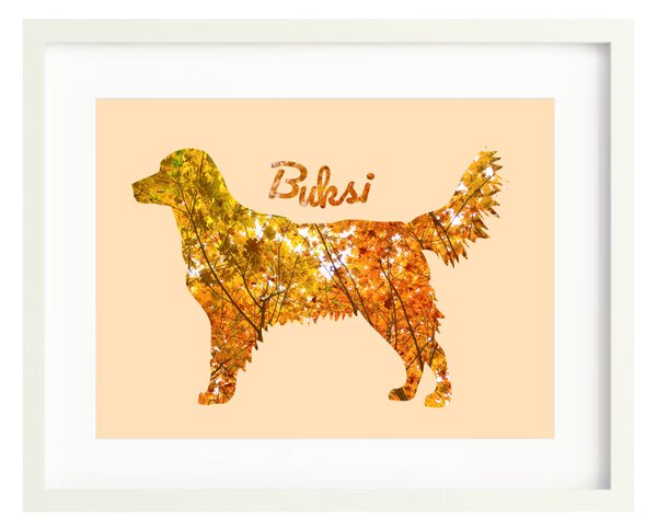 Golden retriever fotógrafika falikép saját névvel