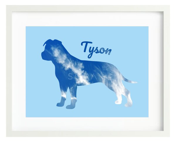 Amerikai staffordshire terrier fotógrafika falikép saját névvel