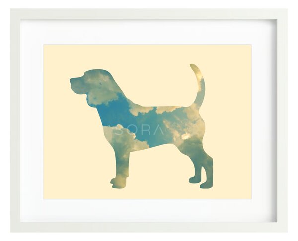 Beagle fotógrafika nyomat falikép