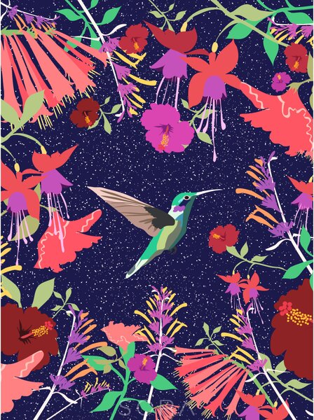 "Éjjeli kolibri" egyedi grafika nyomat falikép