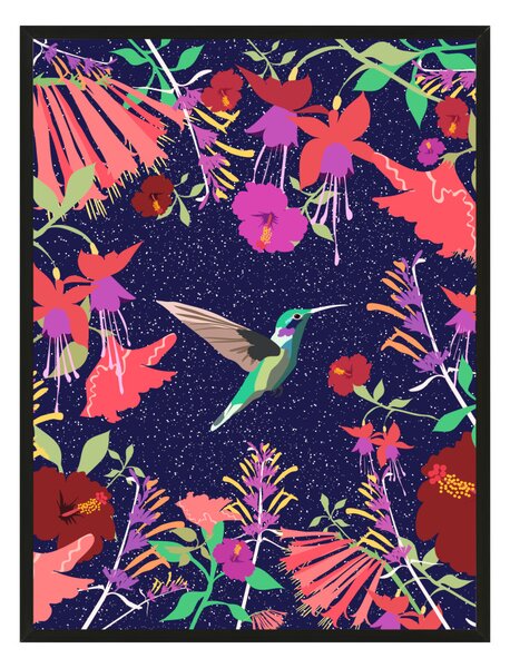 "Éjjeli kolibri" egyedi grafika nyomat falikép