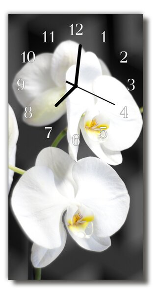 Téglalap alakú üvegóra Fehér orchidea virágok 30x60