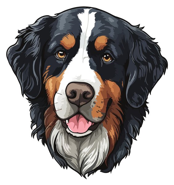 PIPPER. Matrica Berni pásztorkutya Méret: 60cm