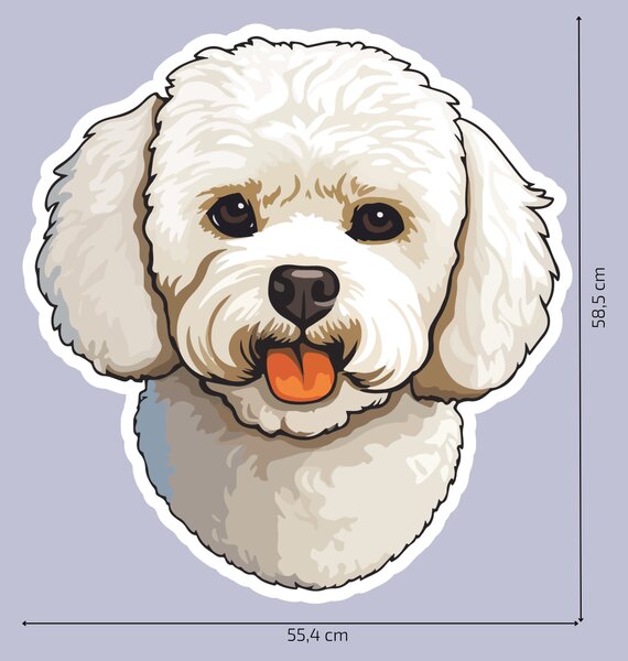 PIPPER. Matrica Bichon Méret: 60cm