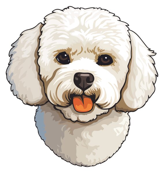 PIPPER. Matrica Bichon Méret: 60cm