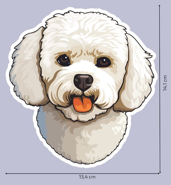 PIPPER. Matrica Bichon Méret: 60cm