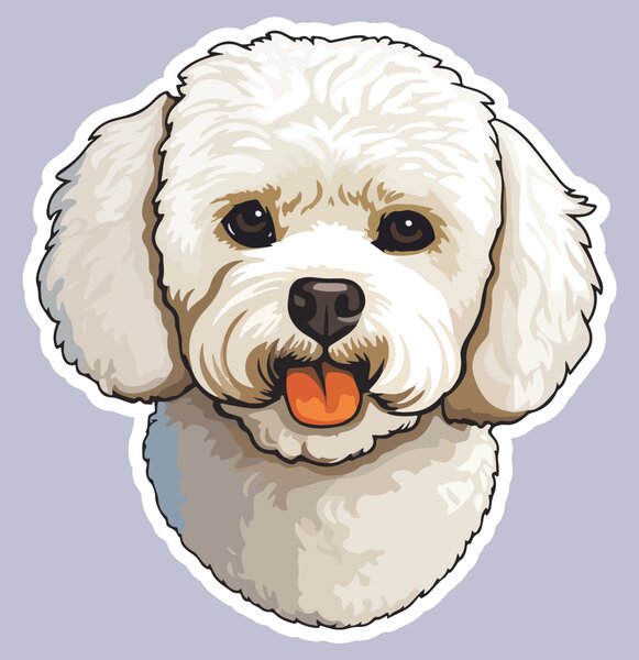 PIPPER. Matrica Bichon Méret: 60cm