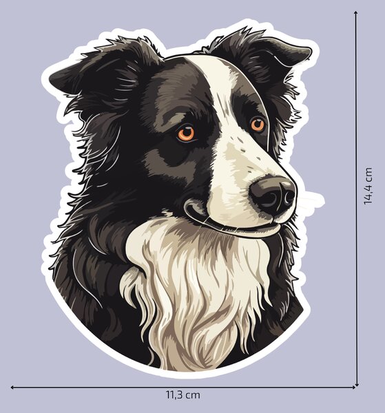 PIPPER. Matrica Border collie Méret: 60cm
