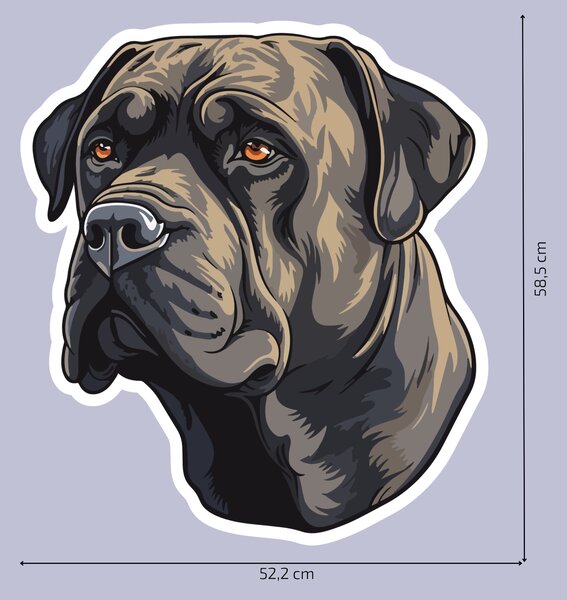 PIPPER. Matrica Cane Corso Méret: 60cm