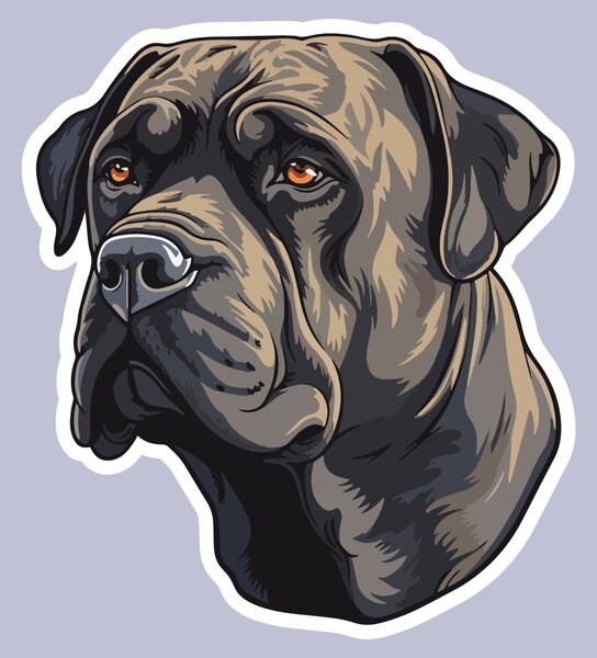 PIPPER. Matrica Cane Corso Méret: 60cm
