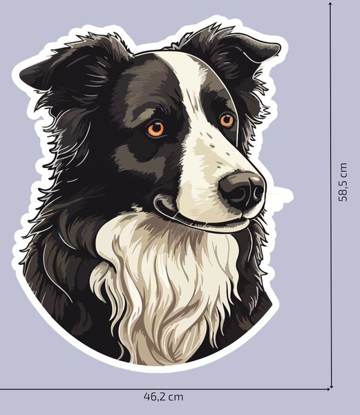 PIPPER. Matrica Border collie Méret: 60cm