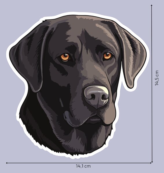 PIPPER. Matrica Fekete labrador Méret: 60cm