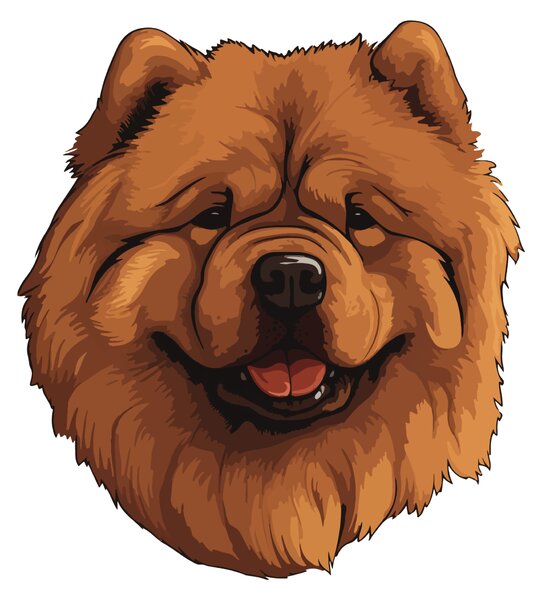 PIPPER. Matrica Chow Chow Méret: 60cm