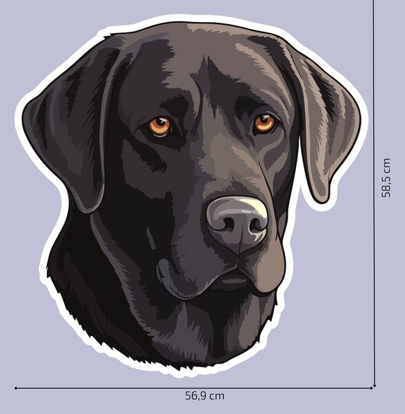 PIPPER. Matrica Fekete labrador Méret: 60cm