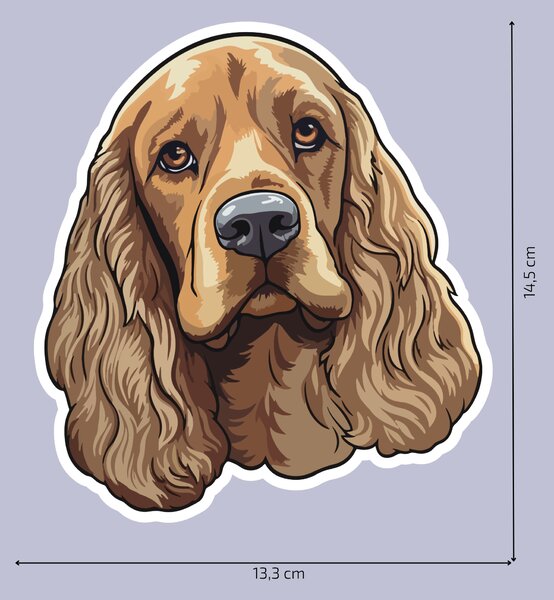 PIPPER. Matrica Cocker spániel Méret: 60cm