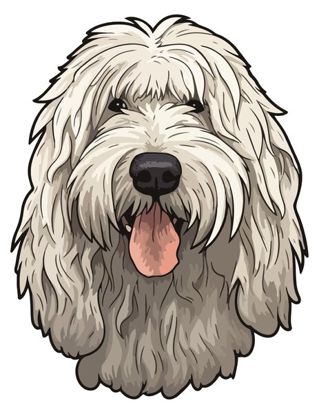PIPPER. Matrica Komondor Méret: 60cm
