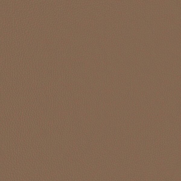 VidaXL Kárpitozott pad háttámlával Cappuccino 110 x 60 x 76 cm Műbőr