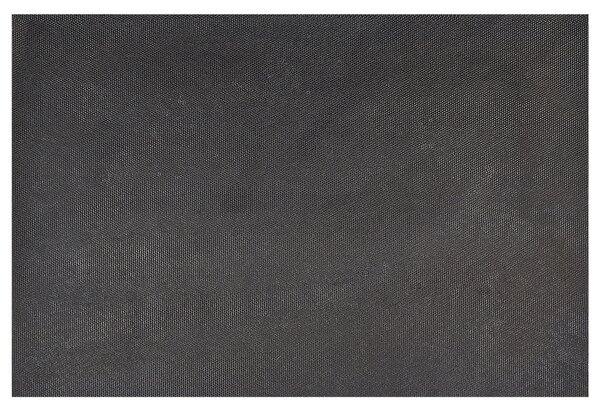 Lábtörlő FANSIPAN Fekete 40 x 60 cm Szöveg Kókuszrost