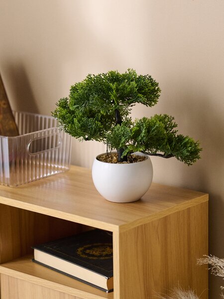Sinsay - Bonsai fa cserépben - zöld
