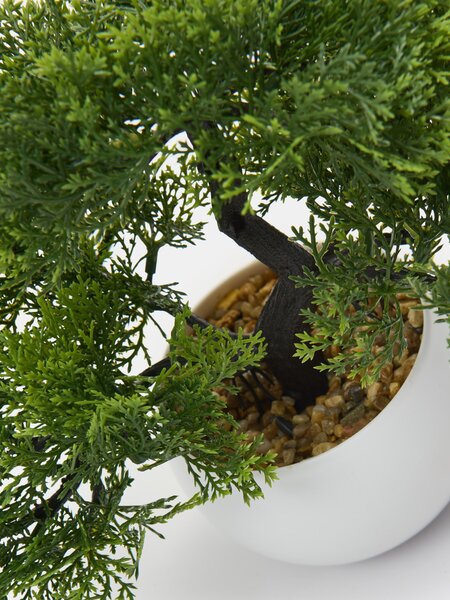 Sinsay - Bonsai fa cserépben - zöld