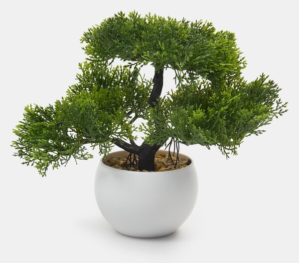 Sinsay - Bonsai fa cserépben - zöld