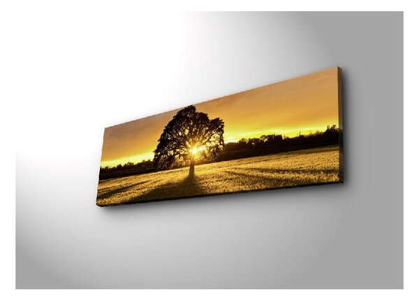 Tree falikép háttérvilágítással, 90 x 30 cm - Wallity