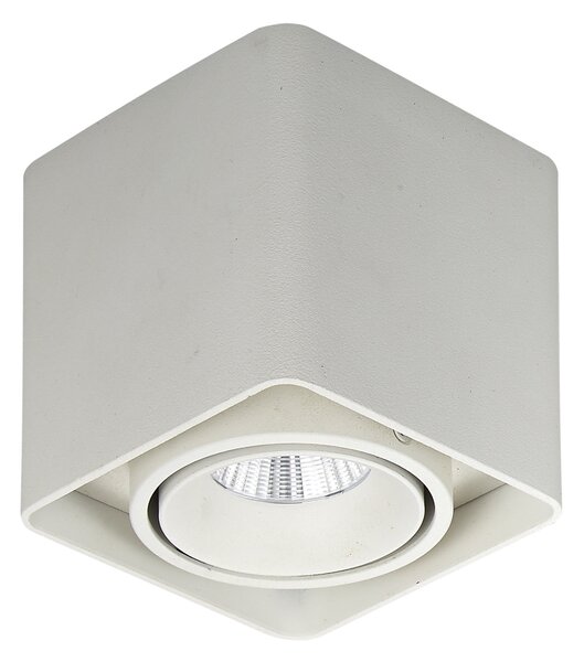 Italux Modern Spot lámpa Bonnie Fehér ITXSLC78004/10W WH