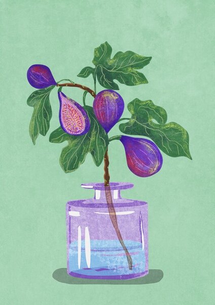 Illusztráció Figs Branch In Vase, Raissa Oltmanns