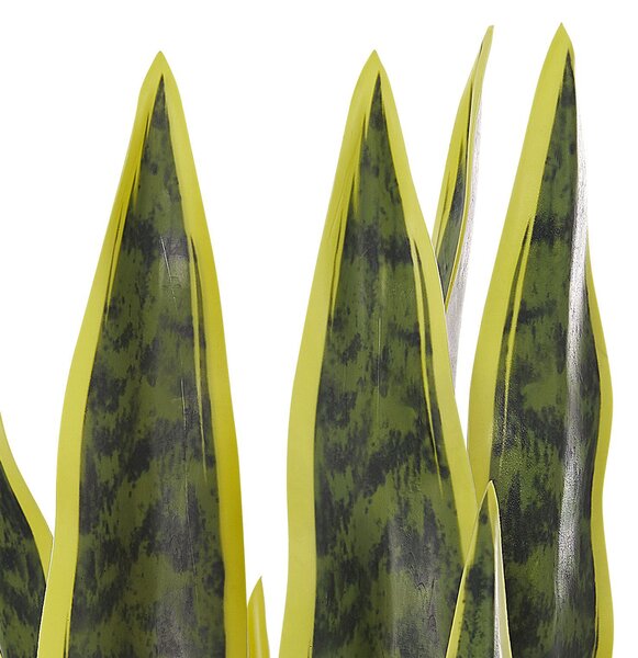 Műnövény SNAKE PLANT 63 cm Zöld