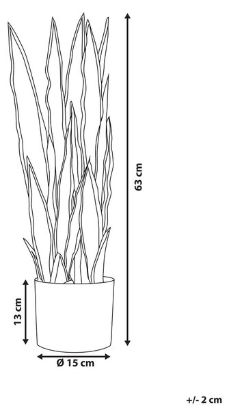 Műnövény SNAKE PLANT 63 cm Zöld