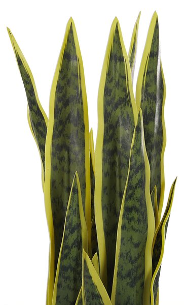 Műnövény SNAKE PLANT 63 cm Zöld