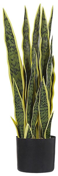 Műnövény SNAKE PLANT 63 cm Zöld