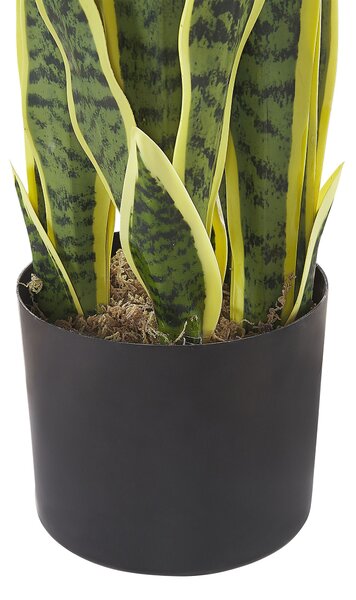 Műnövény SNAKE PLANT 63 cm Zöld
