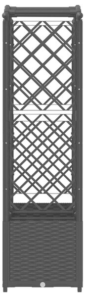 VidaXL Emelt ágyás ráccsal és tetővel, Fekete, 164 x 40 x 142 cm, PP
