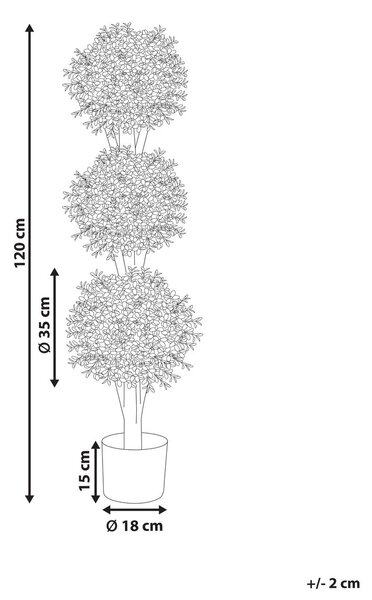 Műnövény BUXUS BALL TREE 120 cm Zöld