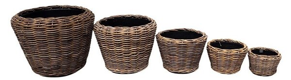 Drypot Rattan Kaspó Szett Barna 65x50cm S/5