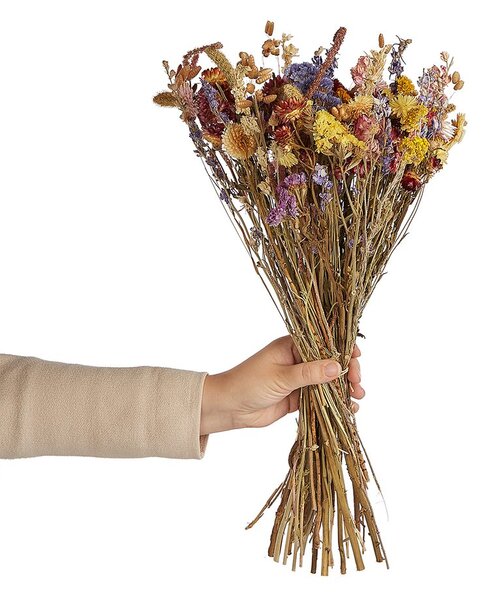 FLOWER MARKET szárított mezei virágcsokor, színes