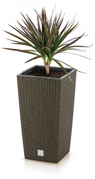 ECO WOOD II virágcserép, 24 cm, négyzet alakú, sötétbarna