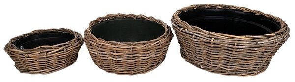 Drypot rattan ültetőtál szett barna 55x24cm S/3