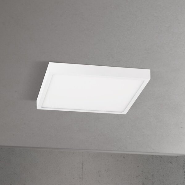 DISC LED mennyezeti lámpa, szögletes, 24×24 cm, fehér
