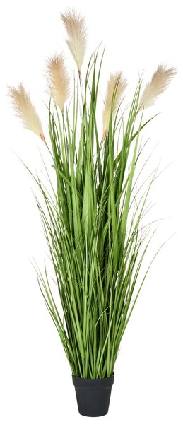 Műnövény PAMPAS GRASS 130 cm Zöld