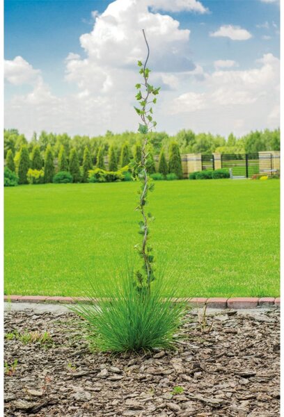 Spirál formájú növényfuttató rúd, 160 cm