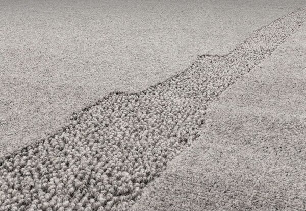 Szürke gyapjú szőnyeg 200x300 cm Morphic Rocca – Agnella