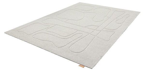 Világosszürke gyapjú szőnyeg 200x300 cm Morphic – Agnella