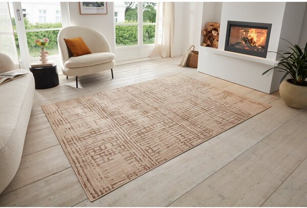 Barna-bézs szőnyeg 80x120 cm Terrain – Hanse Home