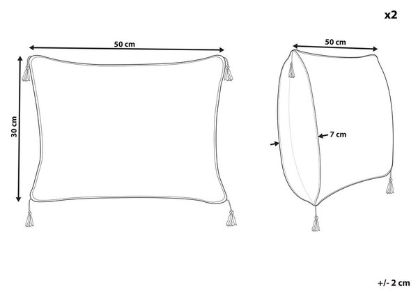 2 db díszpárna SCHEFFLERA Bársony 30 x 50 cm Fehér Geometrikus mintás