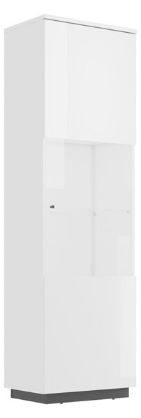 Könyvespolc Talevaro 101, Ajtókkal, Zárt, Edzett üveg, Laminált forgácslap, 200x60x41cm, Fehér, Fényes fehér, Fekete