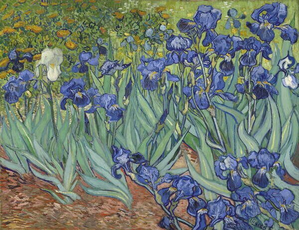 Gogh, Vincent van - Festmény reprodukció Irises, 1889, (40 x 30 cm)