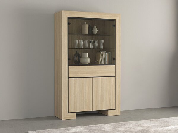 Könyvespolc Etrteo 100, Zárt, Fiókokkal, Ajtókkal, Edzett üveg, Laminált forgácslap, 185x113x41cm, Tölgy, Fekete